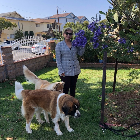 Meet your Posher, Maria - Picture 3 of 3